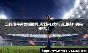 [德甲]多特门前混战 费尔特森远射破门